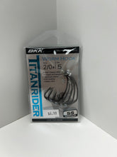Load image into Gallery viewer, BKK 2/0# Worm Hook (5pk)
